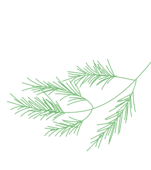 ศัลยกรรมเกาหลี